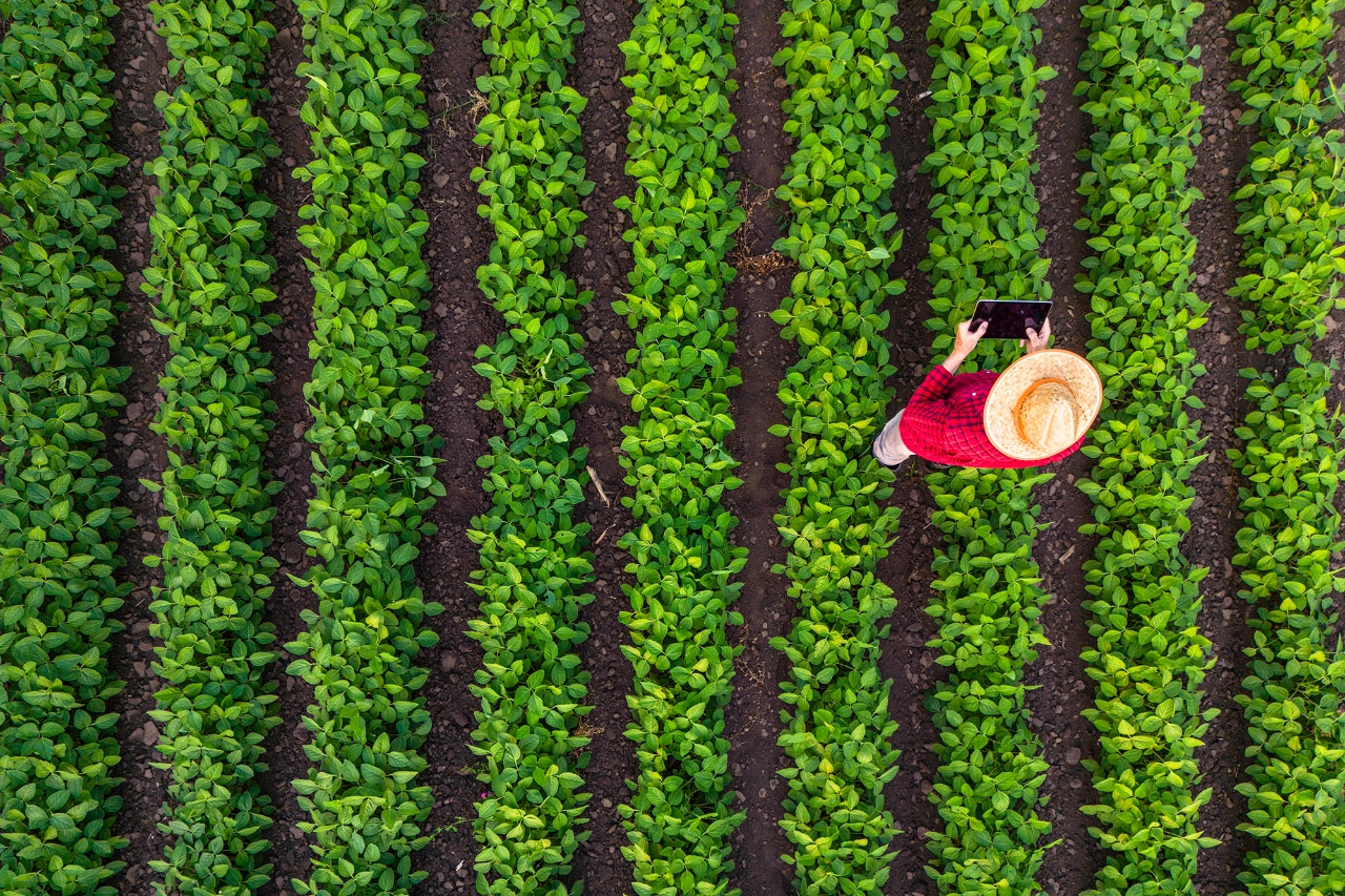 People Walking from Above