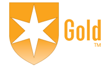 Gold morningstar medalist rating