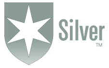 Silver morningstar medalist rating