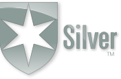 silver morningstar medalist rating