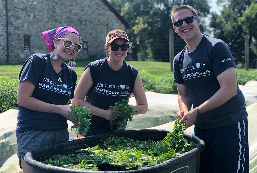 Hartford Funds Volunteering at local Nature Reserve