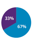 Checks and Balances pie chart