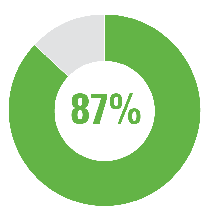 87% pie chart